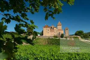 france-saone-et-loire-71-Pierreclos-chateau