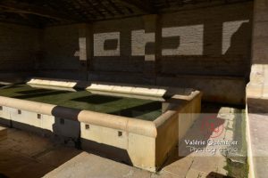 france-saone-et-loire-71-chardonnay-lavoir